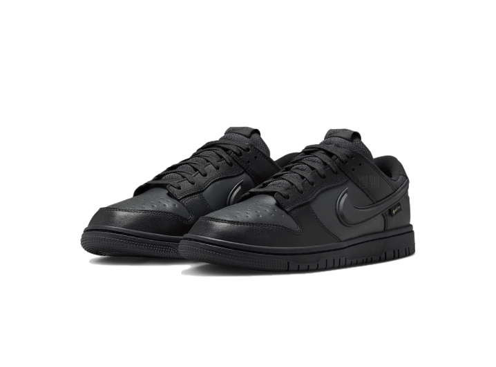 Nike Dunk Low Gore-Tex Fashionable Waterproof Low-Top Sneakers for Men, Black — изображение 5