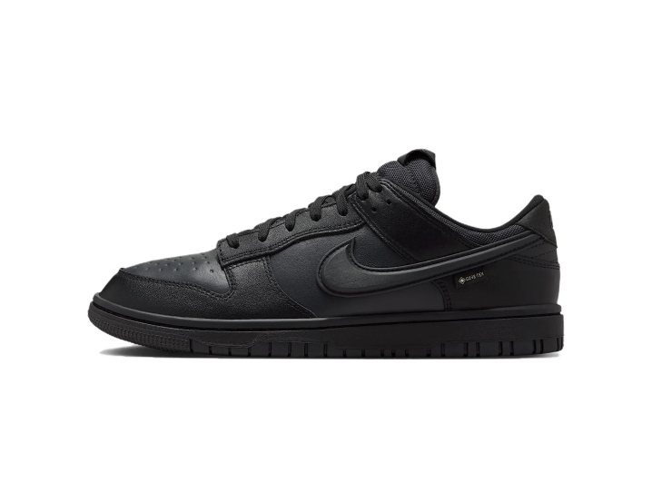 Nike Dunk Low Gore-Tex Fashionable Waterproof Low-Top Sneakers for Men, Black