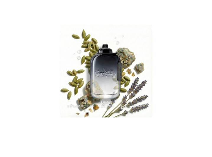 COACH New York Men's/Classic Carriage Eau de Toilette, woody-fougere fragrance, 40 ml/60 ml. — изображение 4
