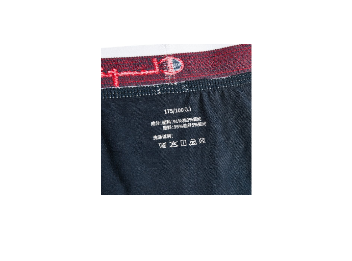 Champion — мужские боксеры-брифы, Casual — изображение 2